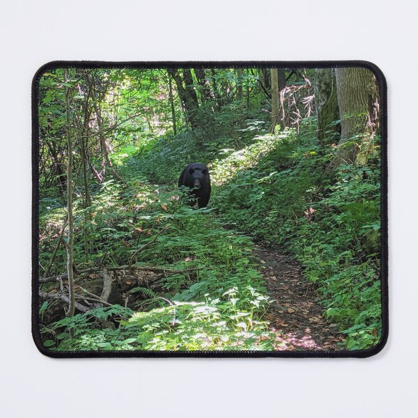 Item preview, Sharing the Trail designed and sold by Ryan Stephens.