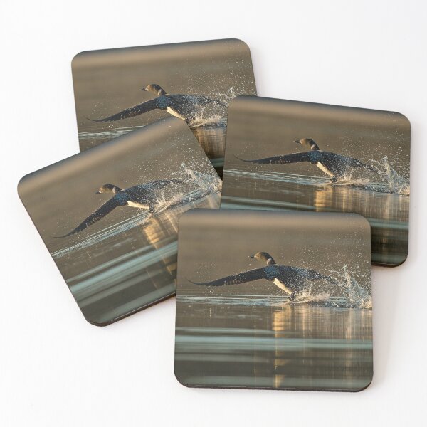 Item preview, Common Loon designed and sold by Loon-Images.