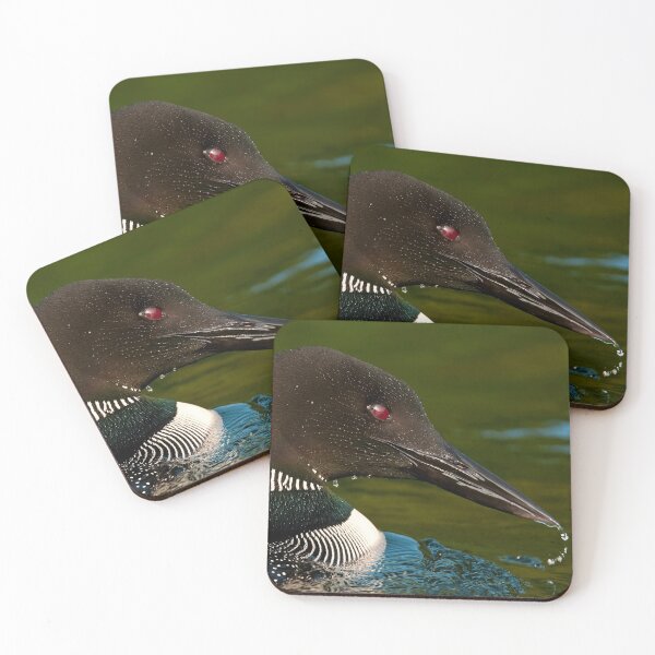 Item preview, Common Loon designed and sold by Loon-Images.