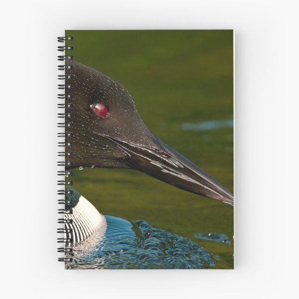 Item preview, Common Loon designed and sold by Loon-Images.