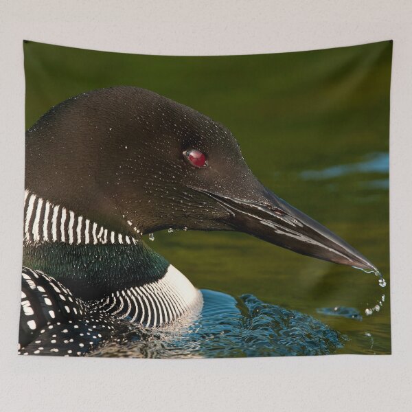 Item preview, Common Loon designed and sold by Loon-Images.