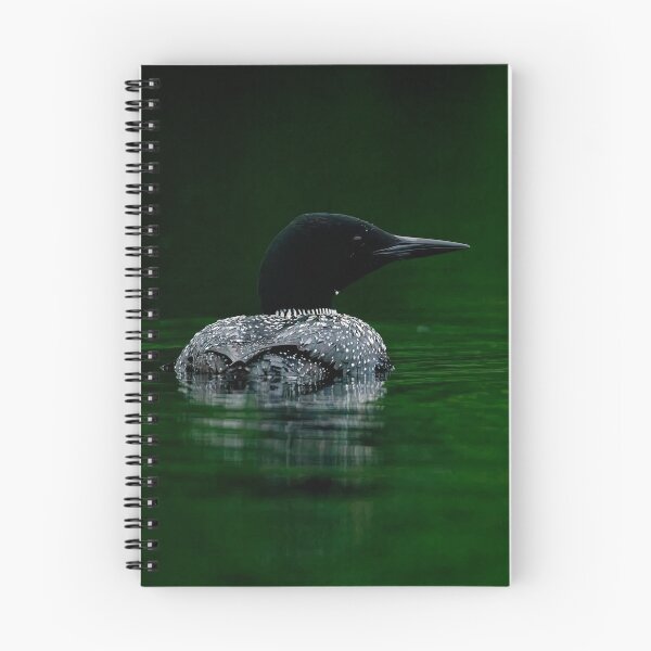 Item preview, Common Loon designed and sold by Loon-Images.