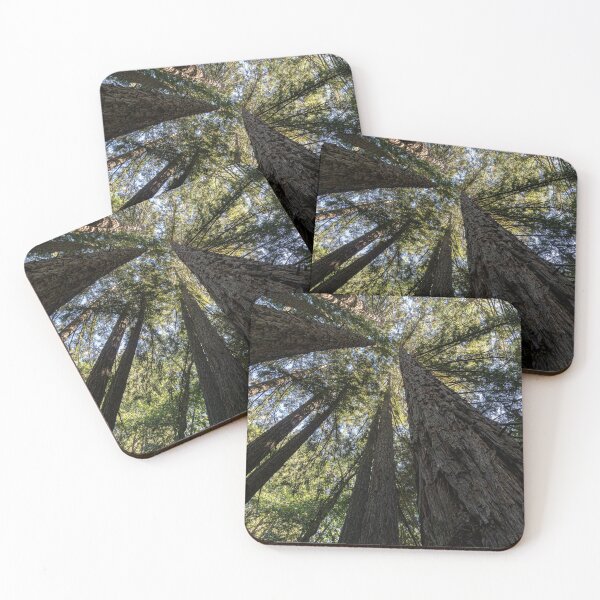 Item preview, Giant Redwoods in California designed and sold by Vanina Isola.