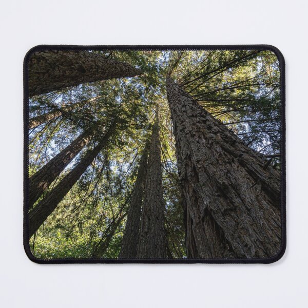 Item preview, Giant Redwoods in California designed and sold by Vanina Isola.