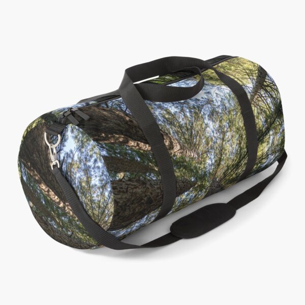 Item preview, Giant Redwoods in California designed and sold by Vanina Isola.
