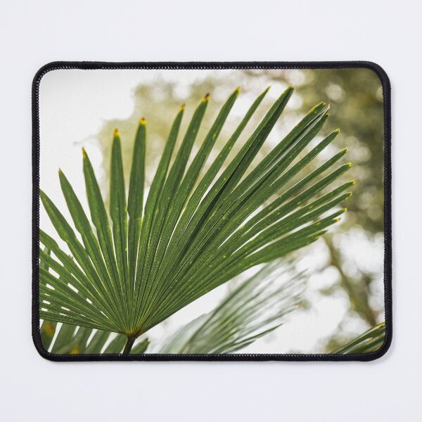 Item preview, Palm Branch at Sunset designed and sold by soleilartco.