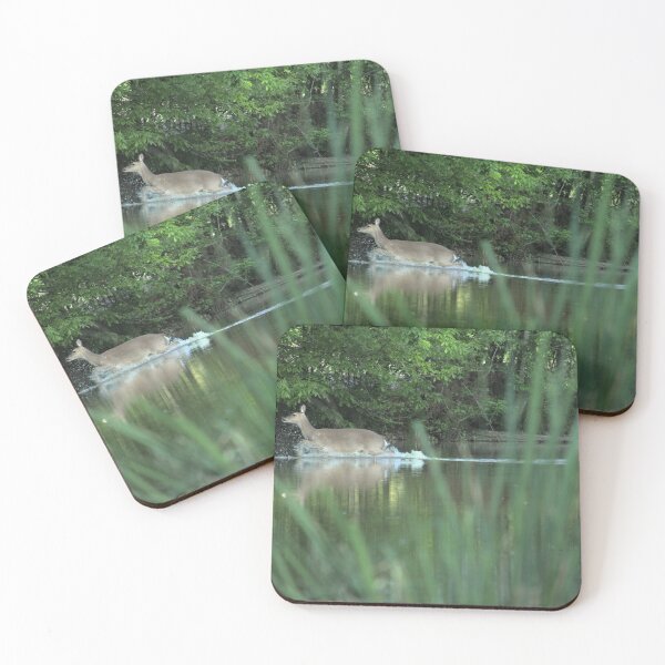 Item preview, Splashing Doe designed and sold by Ryan Stephens.