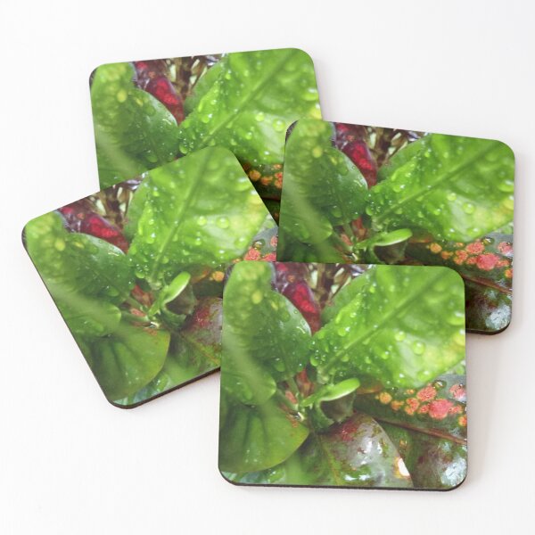 Item preview, croton leaves designed and sold by Cheni-Yathri.