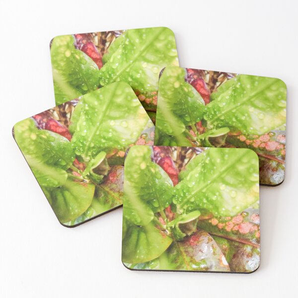 Item preview, croton leafs designed and sold by Cheni-Yathri.
