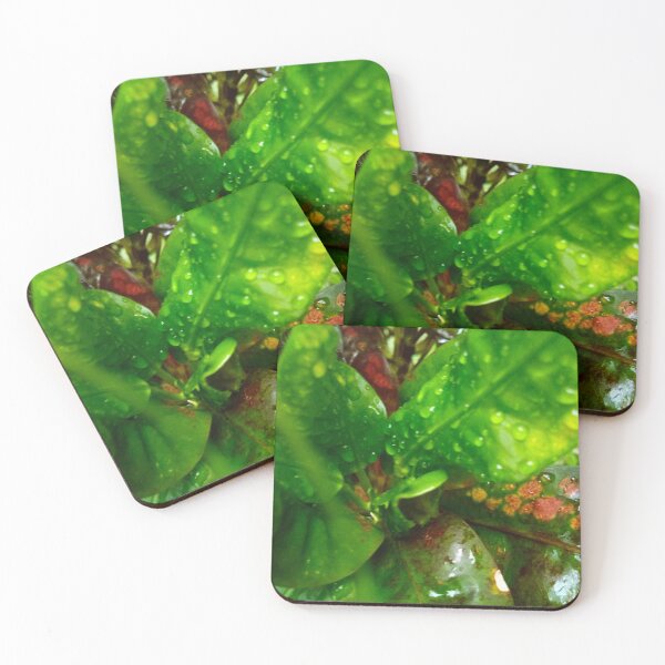 Item preview, croton leafs designed and sold by Cheni-Yathri.