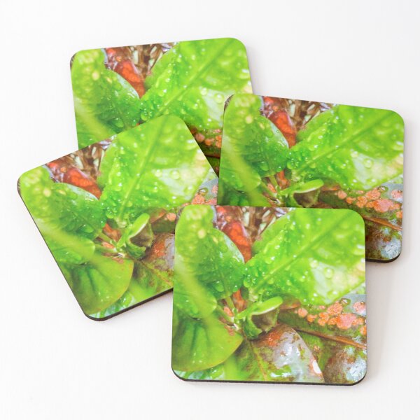 Item preview, croton leafs designed and sold by Cheni-Yathri.