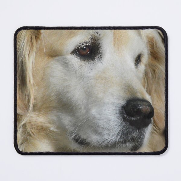 Item preview, Golden Retriever portrait designed and sold by Laurie Minor.