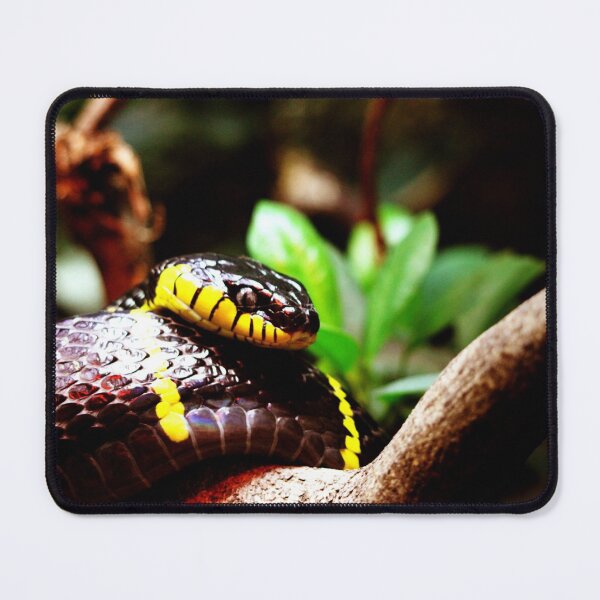 Item preview, Mongrove snake designed and sold by Mangell-photos.