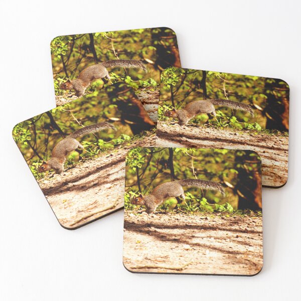 Item preview, jumping squirrel designed and sold by Mangell-photos.