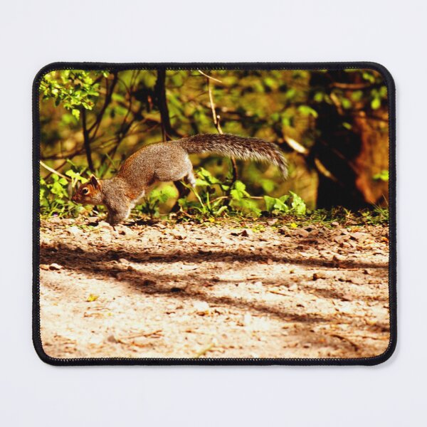Item preview, jumping squirrel designed and sold by Mangell-photos.