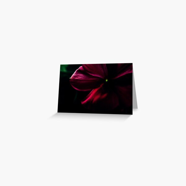 Flower in the dark Greeting Card