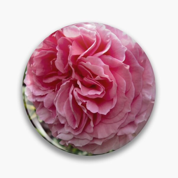 Item preview, Natures Finest. designed and sold by ronsaunders47.