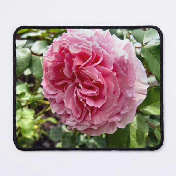 Item preview, Natures Finest. designed and sold by ronsaunders47.