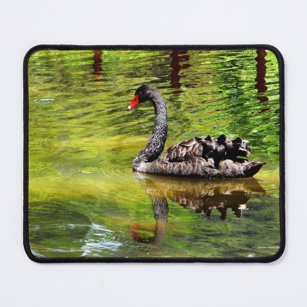 Item preview, Black Swan ........ Alone designed and sold by Vaengi.