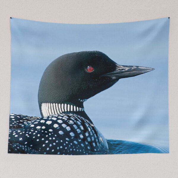 Item preview, Common Loon designed and sold by Loon-Images.