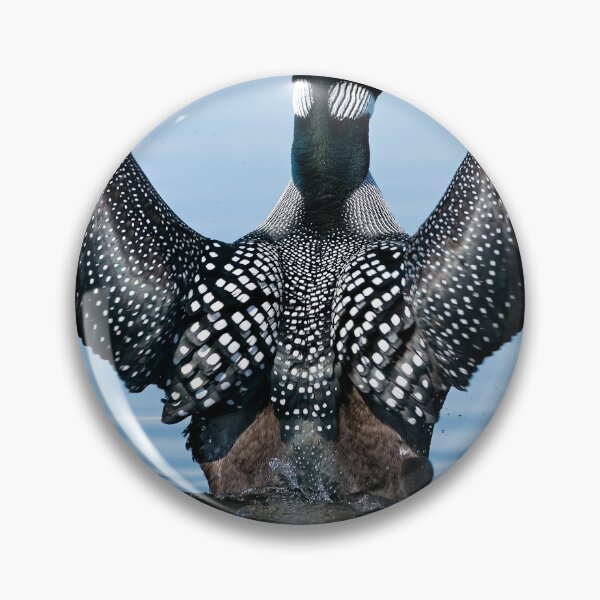 Item preview, Wing Flap designed and sold by Loon-Images.