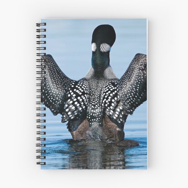 Item preview, Wing Flap designed and sold by Loon-Images.