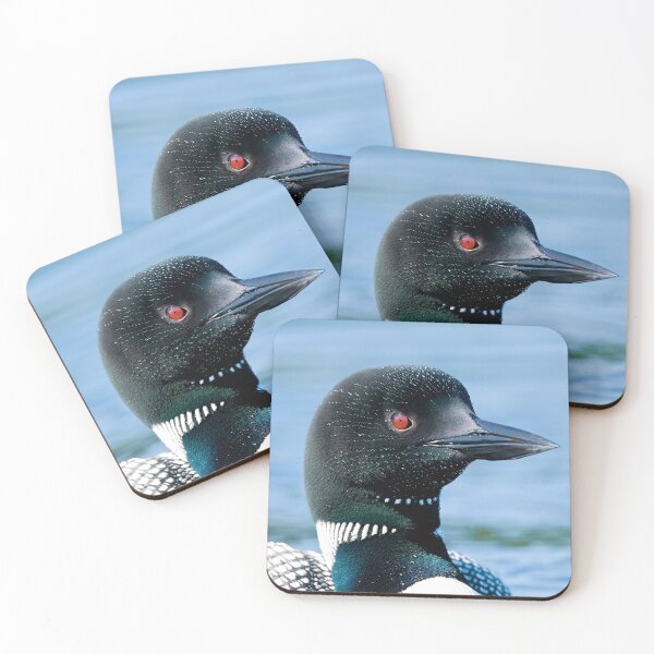 Item preview, Common Loon designed and sold by Loon-Images.