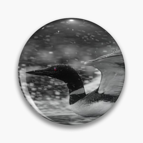 Item preview, Common Loon designed and sold by Loon-Images.