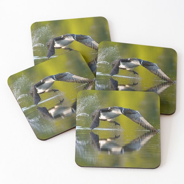 Item preview, Common Loon designed and sold by Loon-Images.