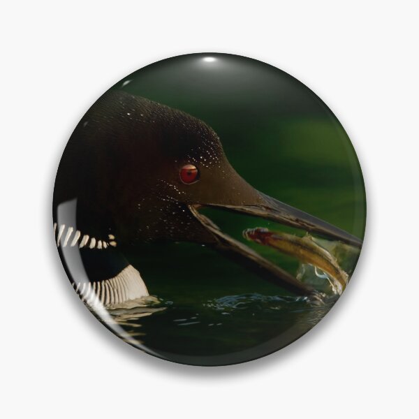 Item preview, Common Loon designed and sold by Loon-Images.