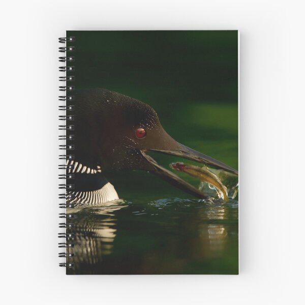Item preview, Common Loon designed and sold by Loon-Images.