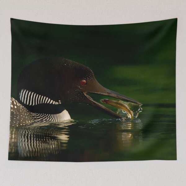 Item preview, Common Loon designed and sold by Loon-Images.