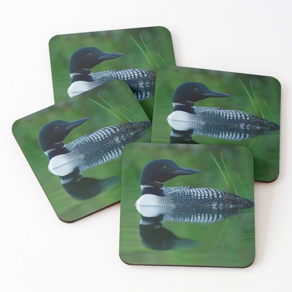 Item preview, Common Loon designed and sold by Loon-Images.
