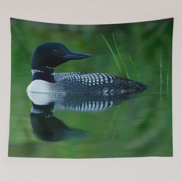 Item preview, Common Loon designed and sold by Loon-Images.