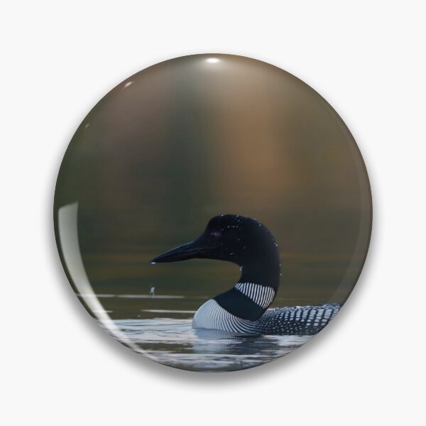 Item preview, Common Loons designed and sold by Loon-Images.