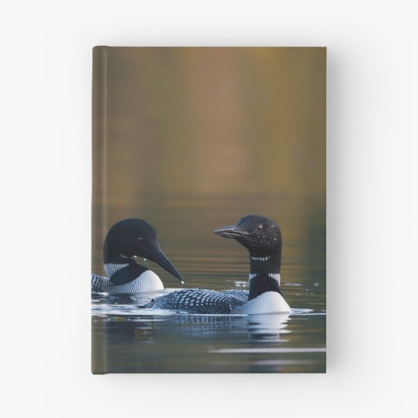 Item preview, Common Loons designed and sold by Loon-Images.