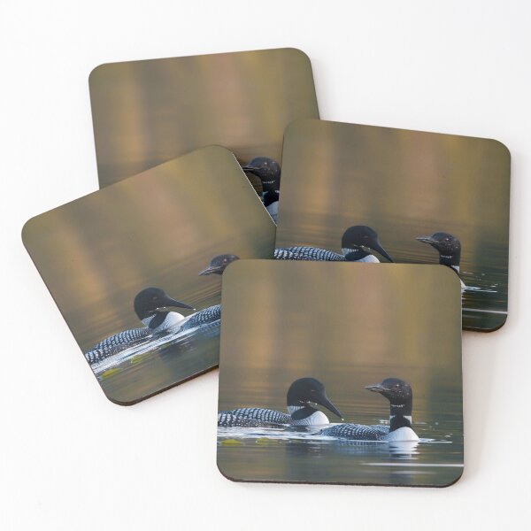 Item preview, Common Loons designed and sold by Loon-Images.