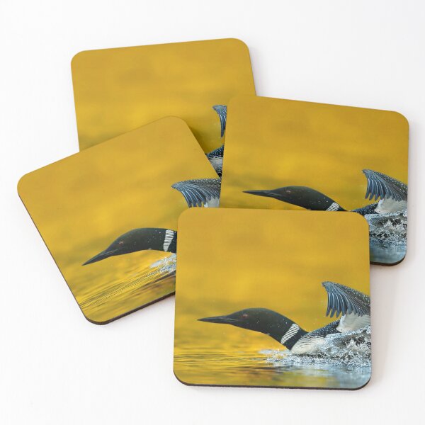 Item preview, Common Loon  designed and sold by Loon-Images.