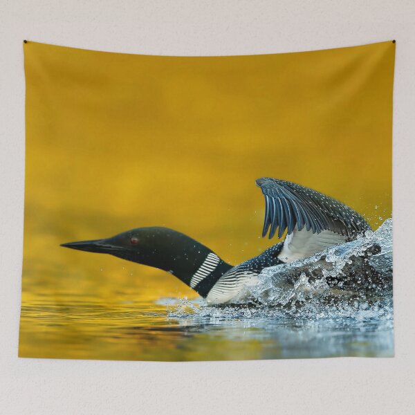 Item preview, Common Loon  designed and sold by Loon-Images.