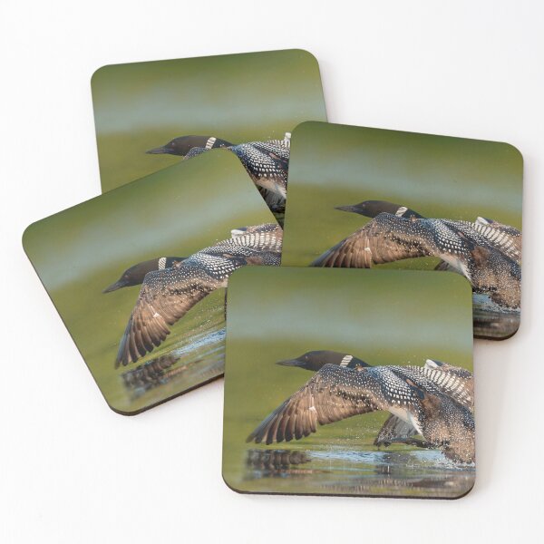Item preview, Take Off designed and sold by Loon-Images.