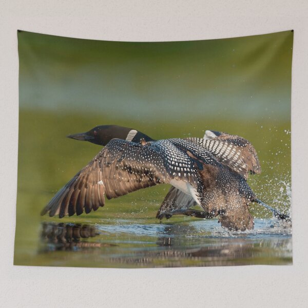 Item preview, Take Off designed and sold by Loon-Images.
