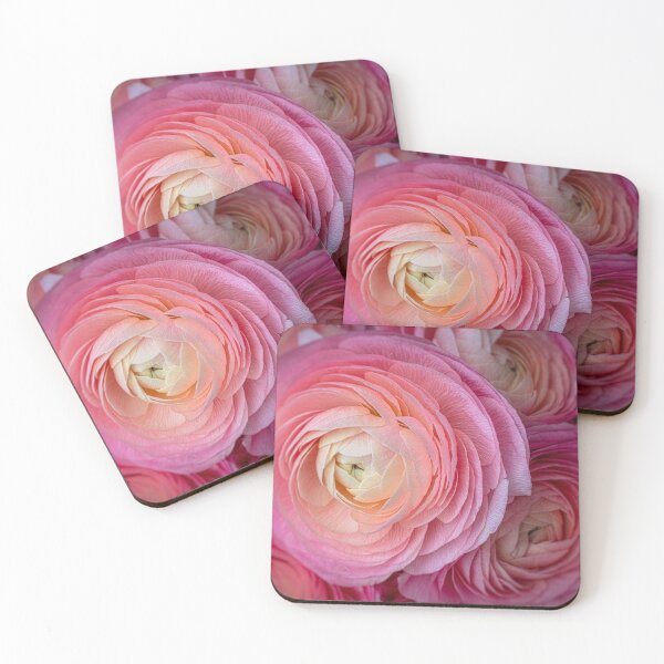 Item preview, Pink Italian Ranunculus designed and sold by Garry Gay.