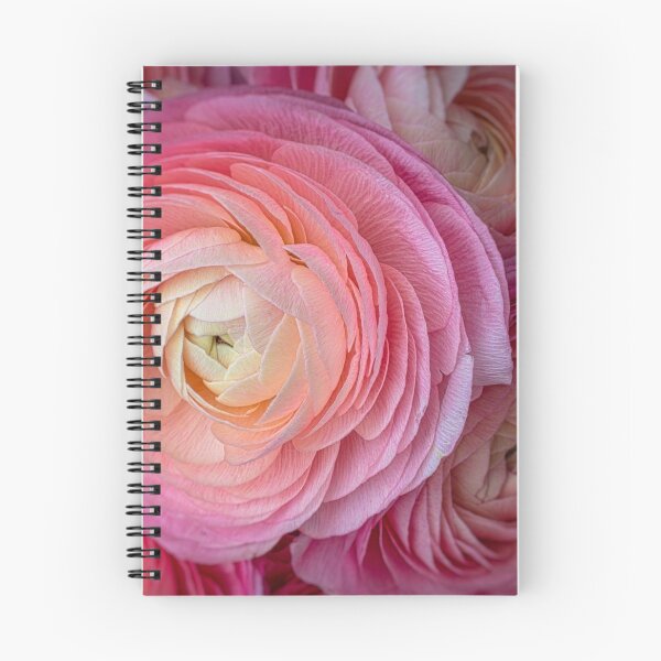 Item preview, Pink Italian Ranunculus designed and sold by Garry Gay.