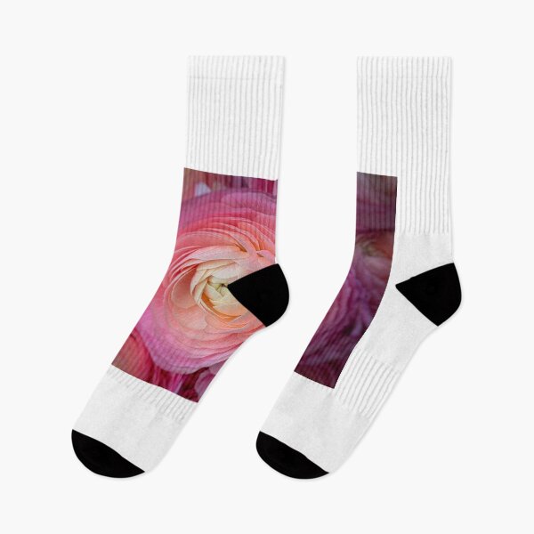 Item preview, Pink Italian Ranunculus designed and sold by Garry Gay.
