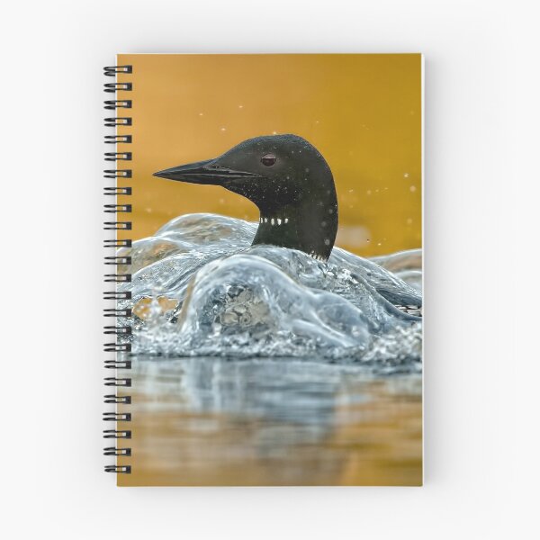 Item preview, Common Loon designed and sold by Loon-Images.