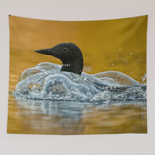 Item preview, Common Loon designed and sold by Loon-Images.