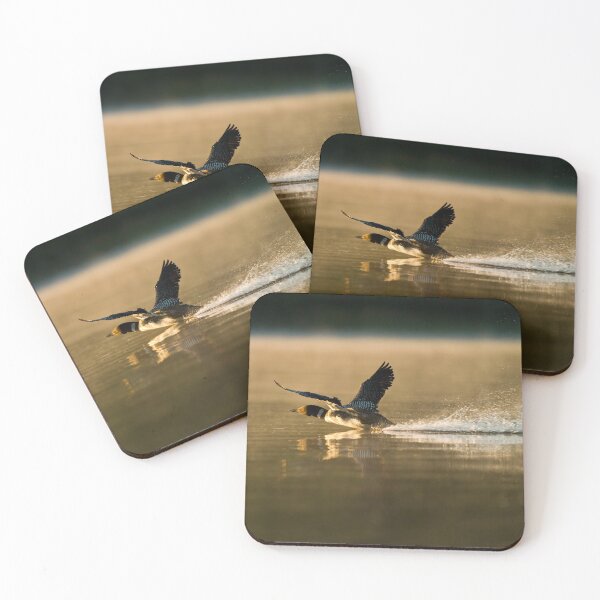 Item preview, Take Off designed and sold by Loon-Images.