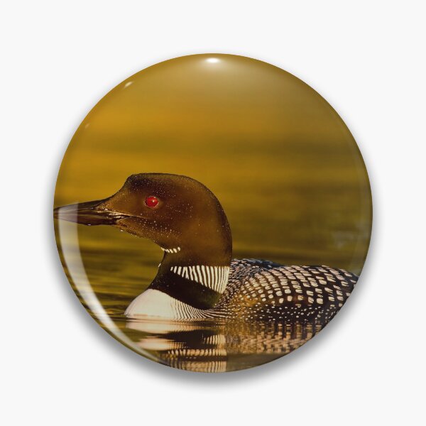 Item preview, Common Loon designed and sold by Loon-Images.