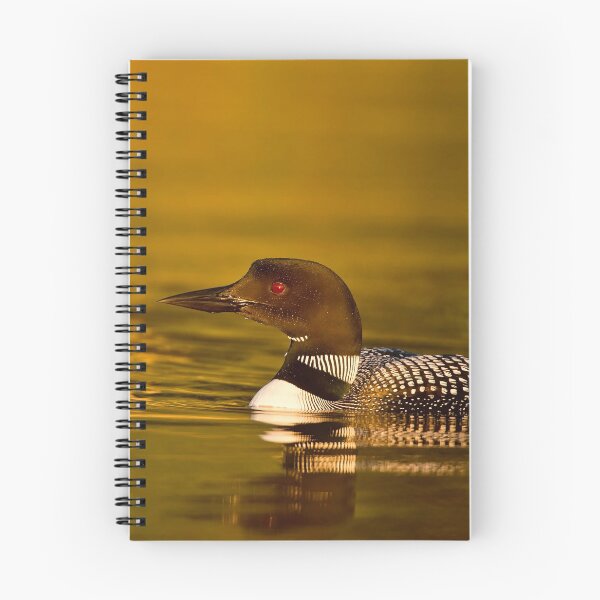 Item preview, Common Loon designed and sold by Loon-Images.