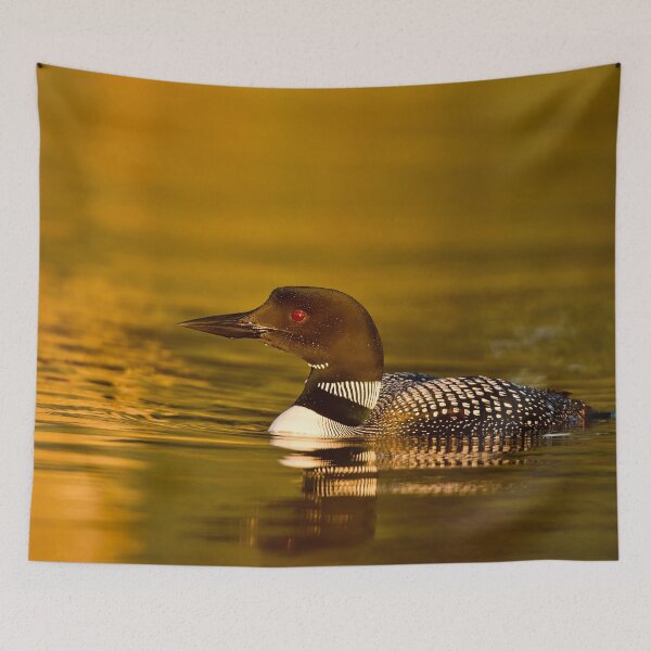 Item preview, Common Loon designed and sold by Loon-Images.
